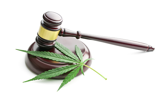 South Carolina criminal defense attorney